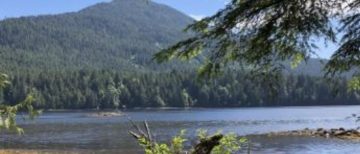 Self-Care for Leadership: Using Indigenous Wisdom, Nature, and Wonder to Thrive